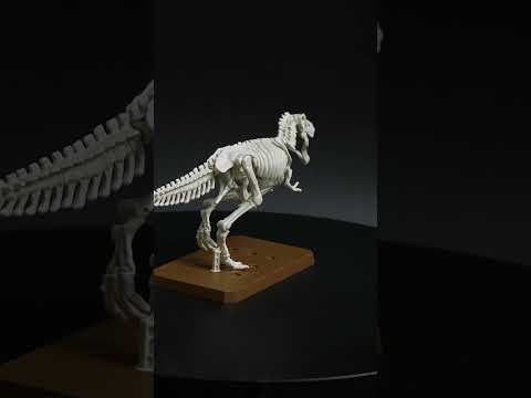 「PLANNOSAURUS_0912」