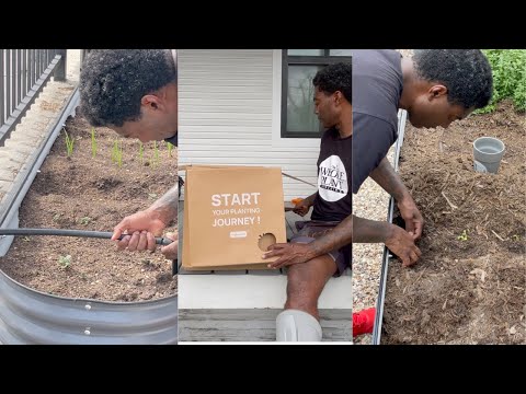 SELF WATERING PLANTER | FRONT YARD IRRIGATION | GLOG 026