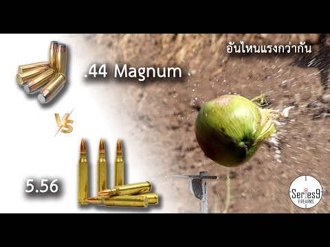 .44 Magnum Vs 5.56 อันไหนจะแรงกว่ากัน