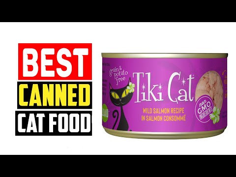 ✅Top 5 Best Canned Cat Foods in 2024