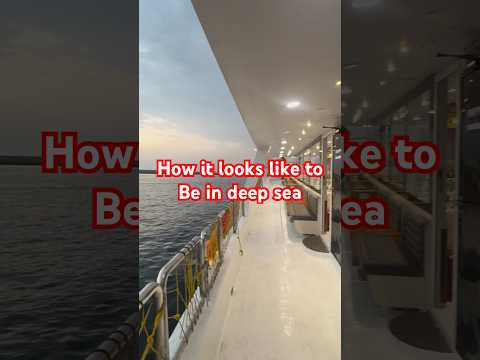 #sea #cruise #asmr #asmrvideo