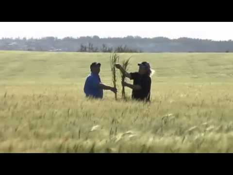 Best Envirotech - Alex Carruthers, Barley Crop