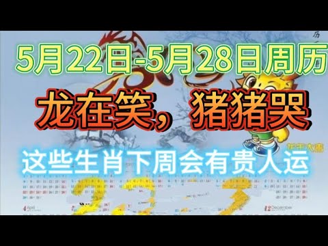 5月22日-5月28日周历丨龙在笑，猪猪哭，这些生肖下周会有贵人运！