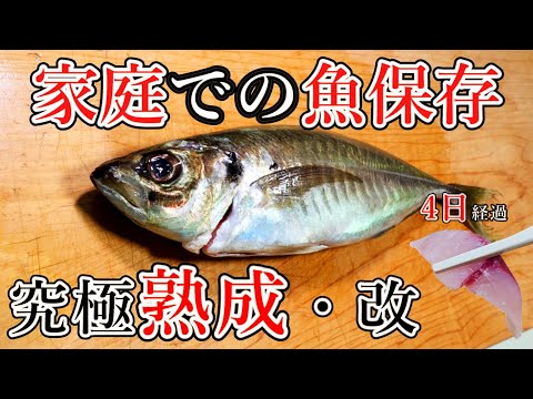 家庭で一番簡単に魚を保存、熟成する方法！アジに最適な究極熟成　40センチまでの魚の旨み引き出します