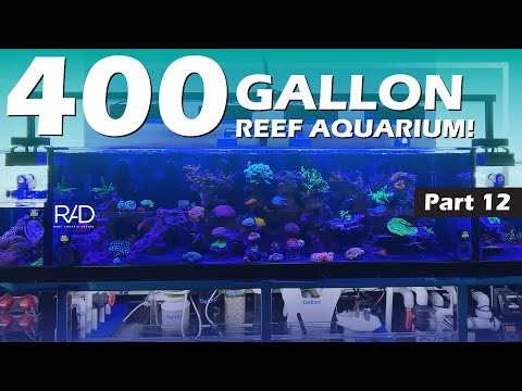 400 GALLON DISPLAY AQUARIUM AND SUMP AT FJ PROPS IN FORT LAUDERDALE (Part 12) | REEF AQUARIA DESIGN