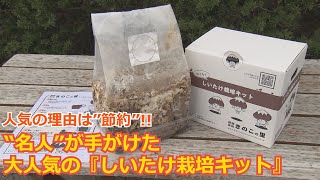 物価高でさらに注目…「シイタケ栽培キット」売上が去年の倍以上に 日本一の受賞歴ある椎茸名人が手掛ける