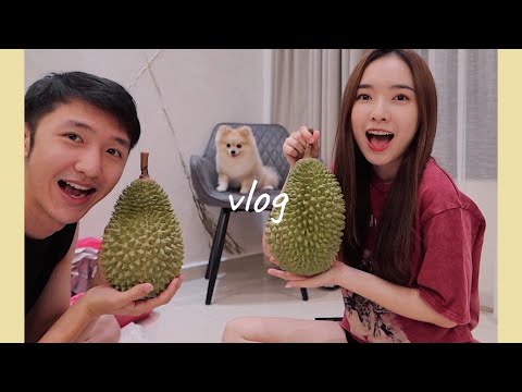 vlog｜🎉150K Subs QnA 🎉  榴槤 火鍋 FMCO長胖記｜StephyYiwen