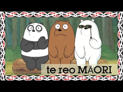 We Bare Bears | Charlie’s Opus (Māori) | Cartoon Network