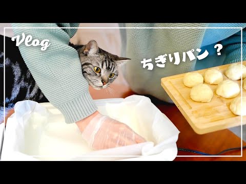 When I tried to bake bread, my cat sneaked into my arm. [Vlog]