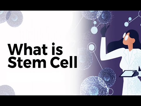 What is Stem Cell?