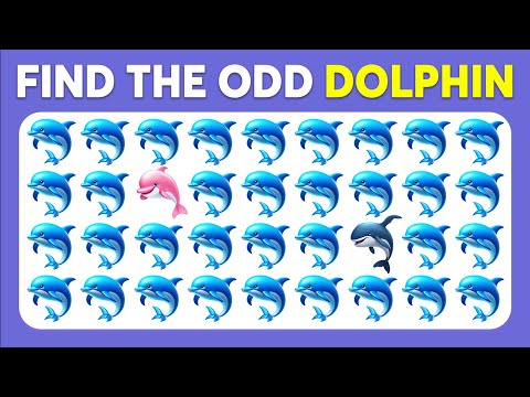 Find the ODD One Out - Sea Edition! 🐬🐚🦑 Monkey Quiz