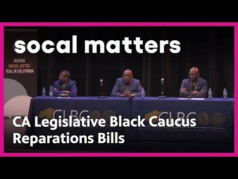 California Legislative Black Caucus promotes Reparations Bills | SoCal Matters | PBS SoCal