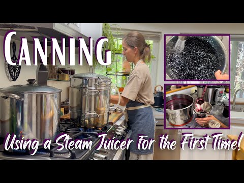 Processing Fruit with a Juicer Steamer | Canning & Food Preservation Elderberries