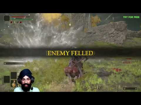 Punjabi Gamer Defeat Tree Sentinel