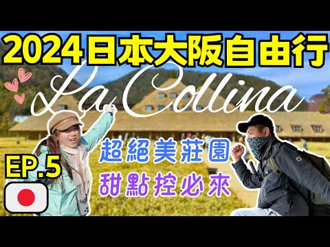 ENG🇯🇵日本關西大阪自由行【EP.5】神好吃的年輪蛋糕｜和菓子天堂｜童話故事場景｜逛到鐵腿｜自助旅遊｜旅遊攻略｜Ommi幹什麼