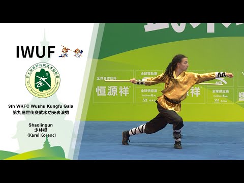 9th WKFC Wushu Kungfu Gala - Shaolingun (Karel Korenc)