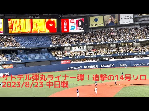 佐藤輝明弾丸ライナー追撃14号ソロ 2023/8/23中日戦