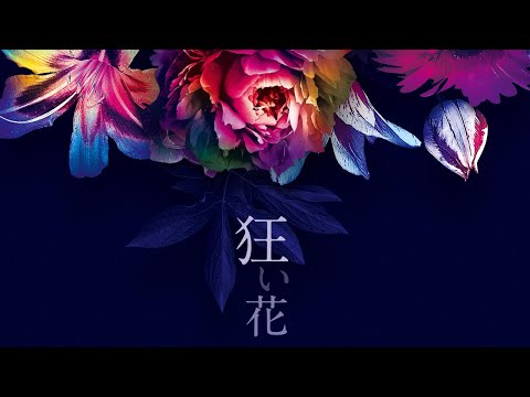 SIRO「狂い花」 Lyric Video（映画「白爪草」主題歌）