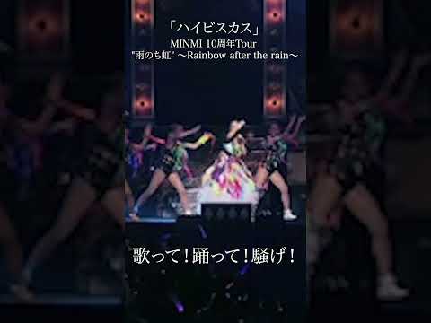 「ハイビスカス」MINMI 10周年Tour 雨のち虹 ～Rainbow after the rain～