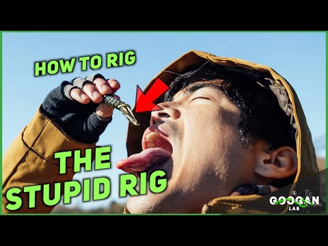 HOW TO rig THE STUPID RIG! ( Fishing Tips)