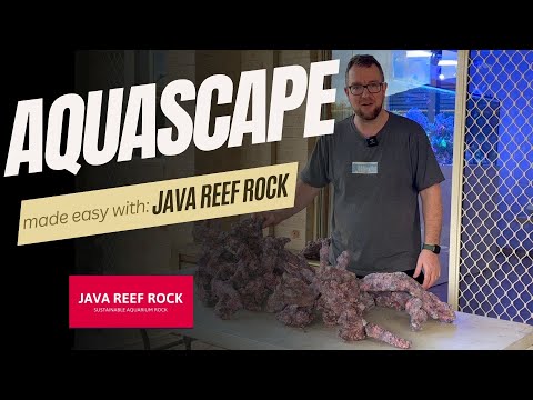 I Made A Peninsula Style Aquascape With Java Reef Rock!