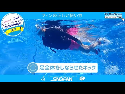 フィン（足ひれ）の正しい使い方【シュノーケリング初心者向け】