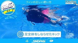 フィン（足ひれ）の正しい使い方【シュノーケリング初心者向け】