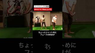 バックスイングは手がインサイドでもクラブは外に上がります #片山晋呉 #golf #ゴルフ #shorts