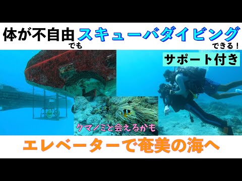 【番外編】体が不自由でもスキューバダイビングできる！　旅行記奄美大島Vol.3（終）