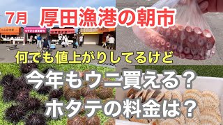 【厚田漁港朝市】７月厚田朝市の様子　ウニやホタテの料金は？