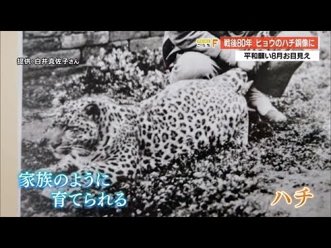 戦争中に毒殺されたヒョウ「ハチ」新たに銅像設置へ【高知】 (25/02/28 17:00)