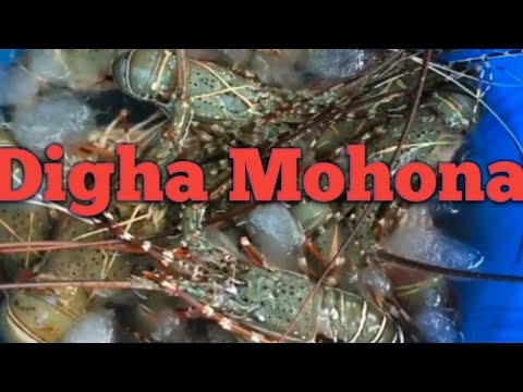 Digha Mohona#Fish market