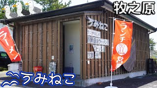 《静岡県牧之原市》さがらサンビーチ目の前！『うみねこ』さんでラーメンランチの家系ラーメンを食す！