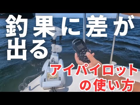 もう、手放せない！5年間使って解ったアイパイロットの使い方！定点保持、流し方などポイントを解説