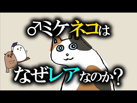 【ゆっくり解説】クローンの限界とエピジェネティクス：いつからクローンなら似ていると錯覚していた?【 ネコ / 進化論 / 科学 / 遺伝子 】