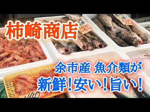 【北海道】余市の有名店🐟柿崎商店へ！見てわかる鮮度の良さと格安の魚介類😊