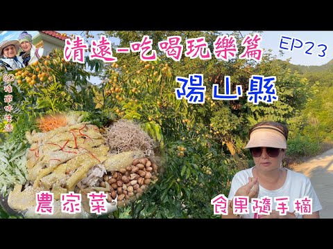 217. 清遠-吃喝玩樂篇（EP23) ，到清遠陽山縣朋友鄉下｜食農家菜-大盤撈雞｜野生河魚｜清水鴨｜滑豆腐｜隨手摘果食