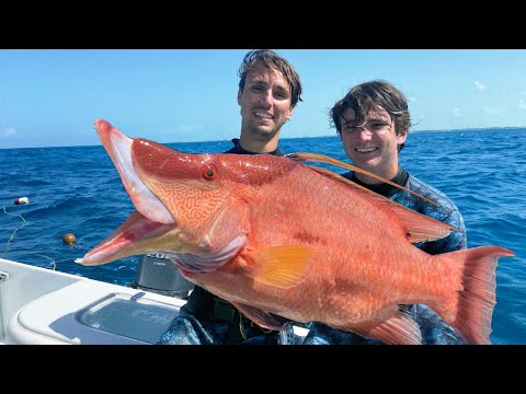 10lb Hogfish Challenge - 160 Mile Ocean Crossing to Great Harbour Cay - Bahamas Hogfish Spearfishing