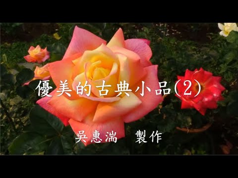 優美的古典小品(2) (舒伯特,蕭邦,巴哈,聖桑,托塞利,馬斯奈,比才,海瓊斯,拉赫曼尼諾夫,布拉姆斯,蕭士塔高維契,佛漢威廉士,莫札特)