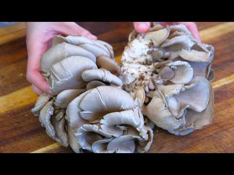 3 Minute Recipe - Oyster Mushroom Side Dish (Tastes Better Than Meat)