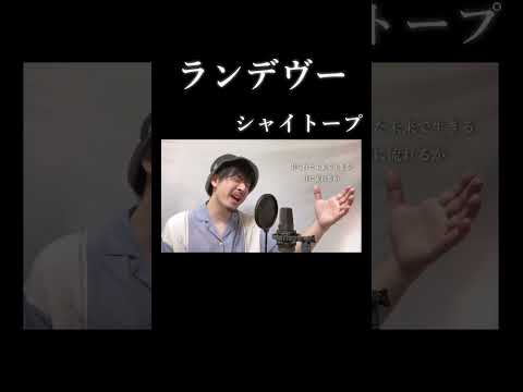 ランデヴー / シャイトープ covered by MAKO #shorts