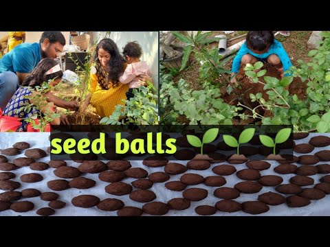 preparation of seed balls in Telugu || ప్రకృతి ని మనం కాపాడితే ప్రకృతి మనల్ని కాపాడుతుంది