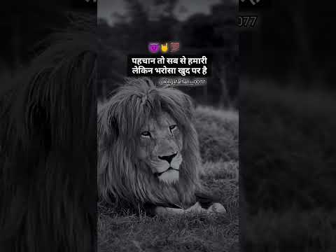 New shayari videos || boy status  || terinding video || lion attitude status || #shorts #ytshorts