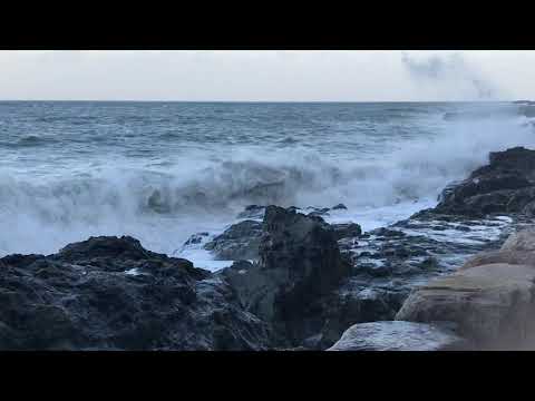 Walk by the ocean