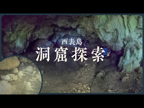 西表島　洞窟探索　【洞窟の貝塚】/ 2022年夏　沖縄旅行