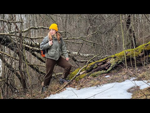 Chilling Winter Forest Adventure: Ice Lake Picnic