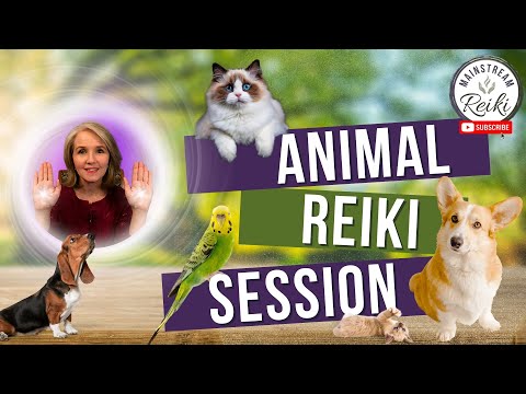 Animal Reiki Session | Calm and Healing for Your Pets 🐾