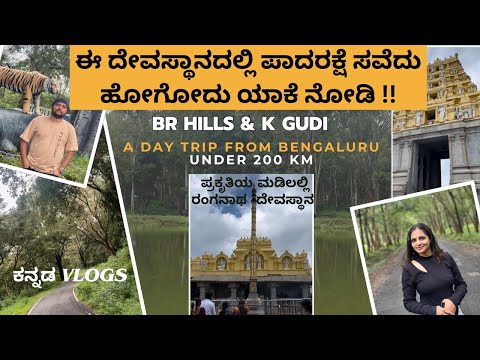 BR Hills | ಬಿಳಿಗಿರಿ ರಂಗನ ಬೆಟ್ಟ | K Gudi - Hidden Gem | Weekend Trip from Bangalore under 200km