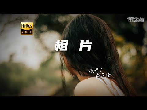 陈子晴 - 相片♫『动态歌词 | 高音质 | pinyin Lyrics | 每日歌单推荐』