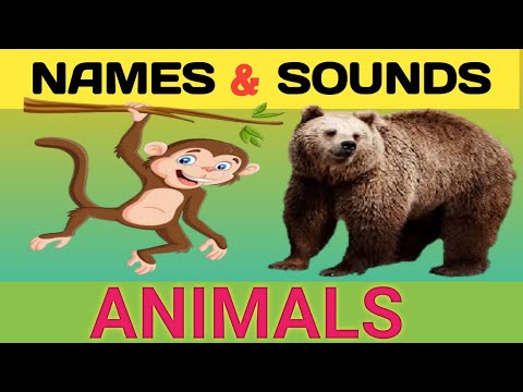 Animal Sounds for Kids | Animal Sounds Song | Animal Sounds | Animal Pictures